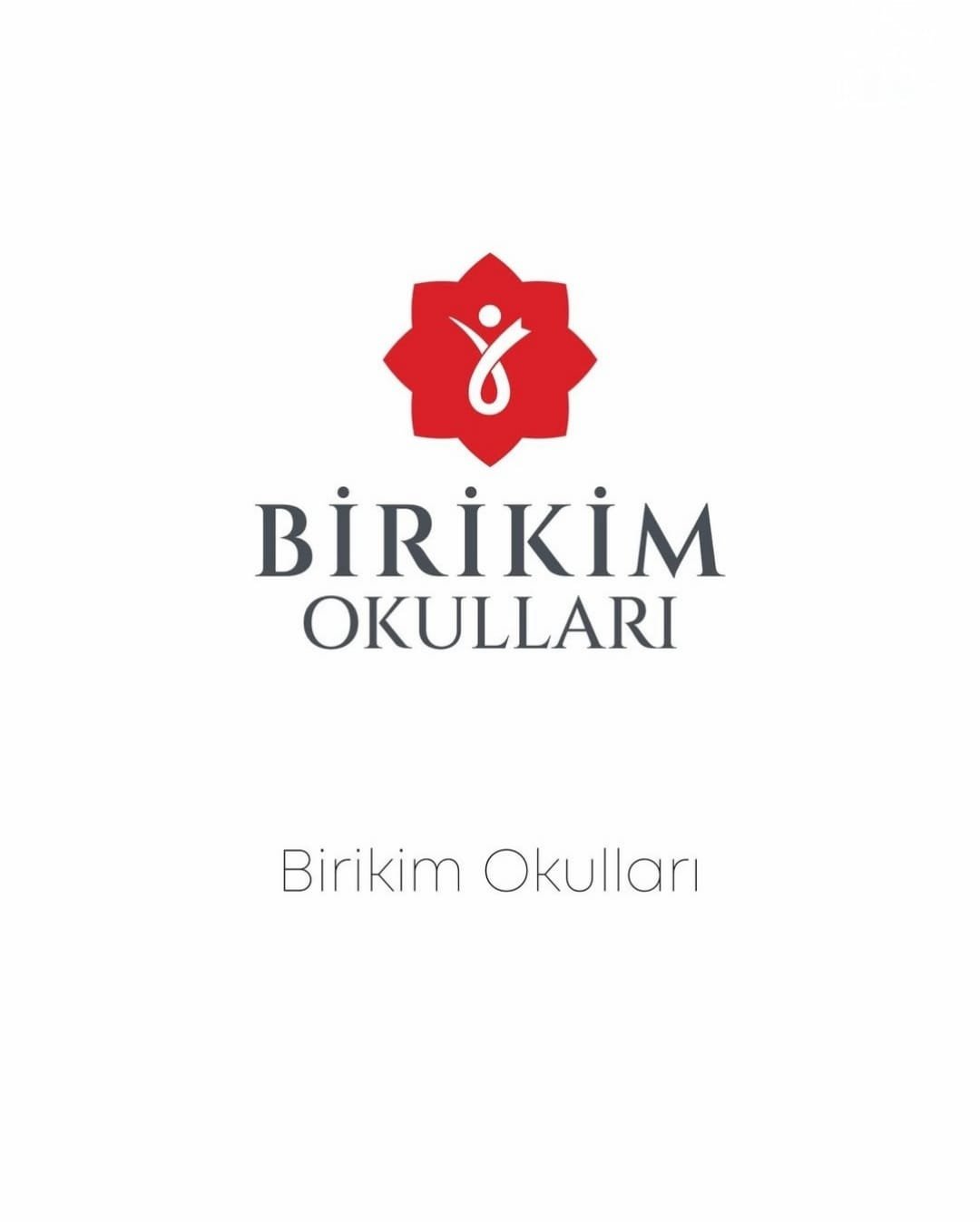 Birikim Okulları Logo
